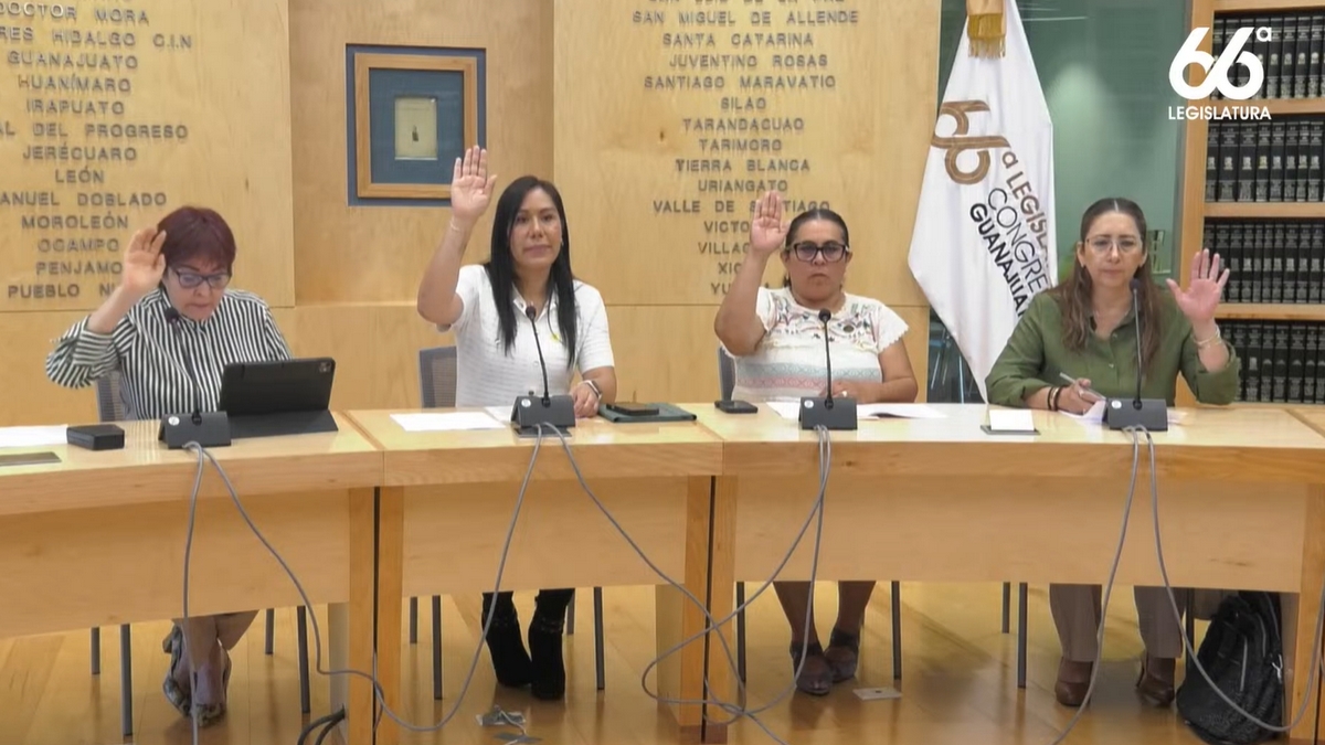 Comisión de Igualdad y Género de Gto