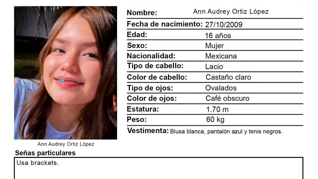 Alerta Amber en Irapuato
