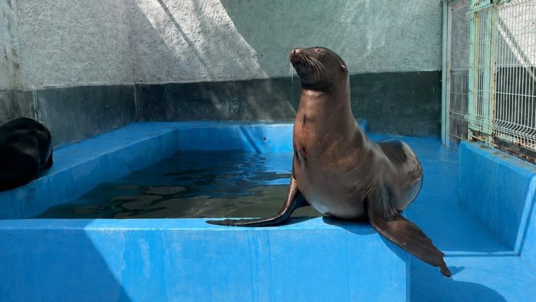 Zoológico de León.