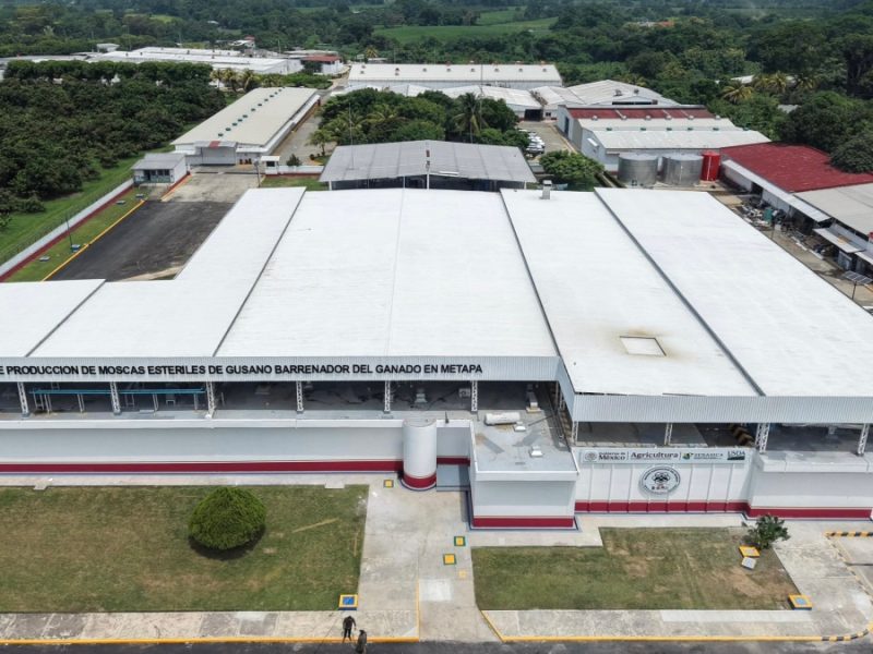 Inauguran México y EU planta de moscas estériles contra el gusano barrenador