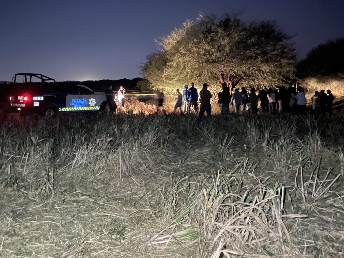 Hallan una bolsa con restos humanos en lote baldío de Colinas del Río, en Irapuato