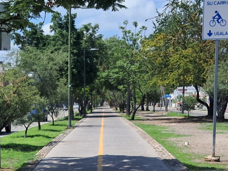 Movilidad y accesibilidad, los puntos débiles en el espacio público de Guanajuato