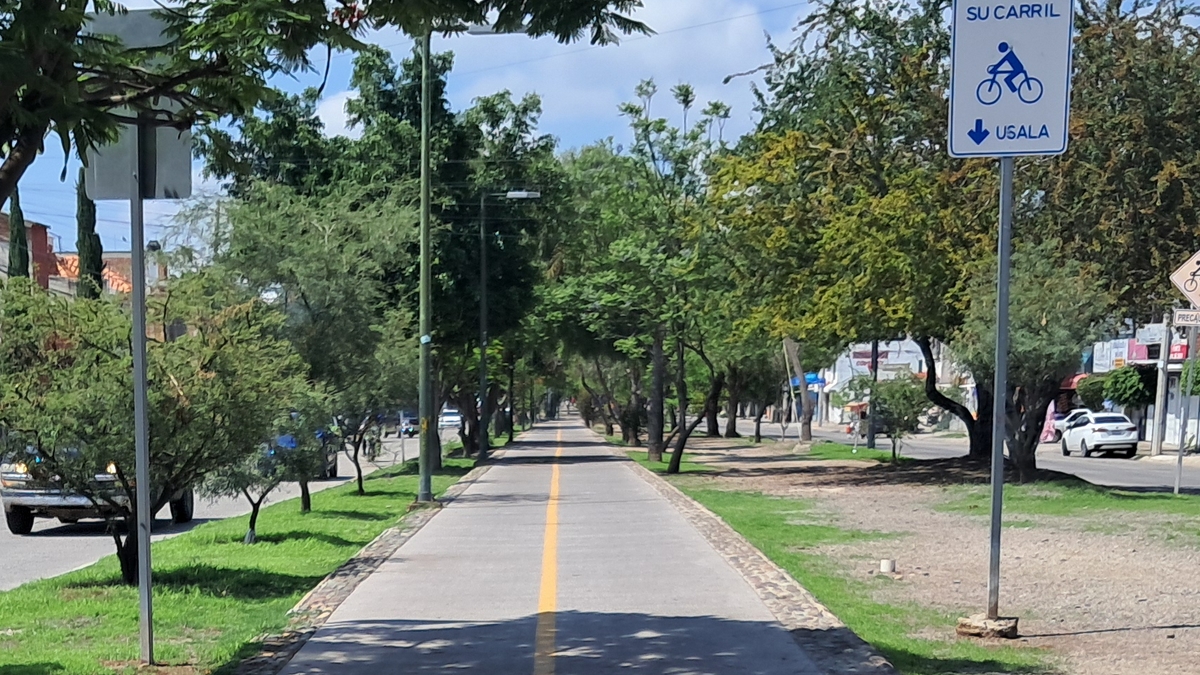 Infraestructura vial León