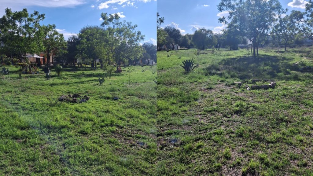 Intento de despojo de área recreativa en Irapuato