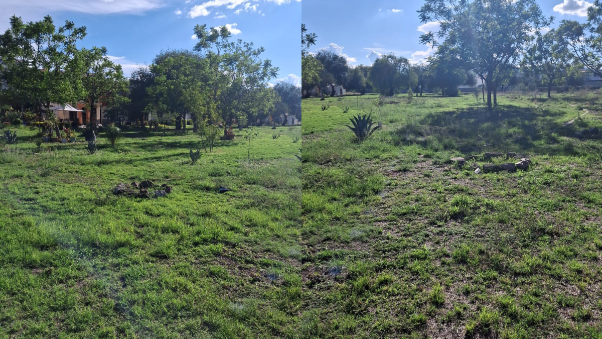 Intento de despojo de área recreativa en Irapuato