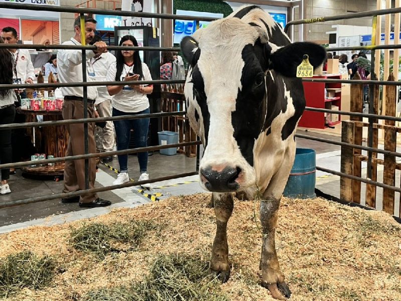 Leche para el Bienestar y Expo Lac se unen para ampliar apoyo en Guanajuato