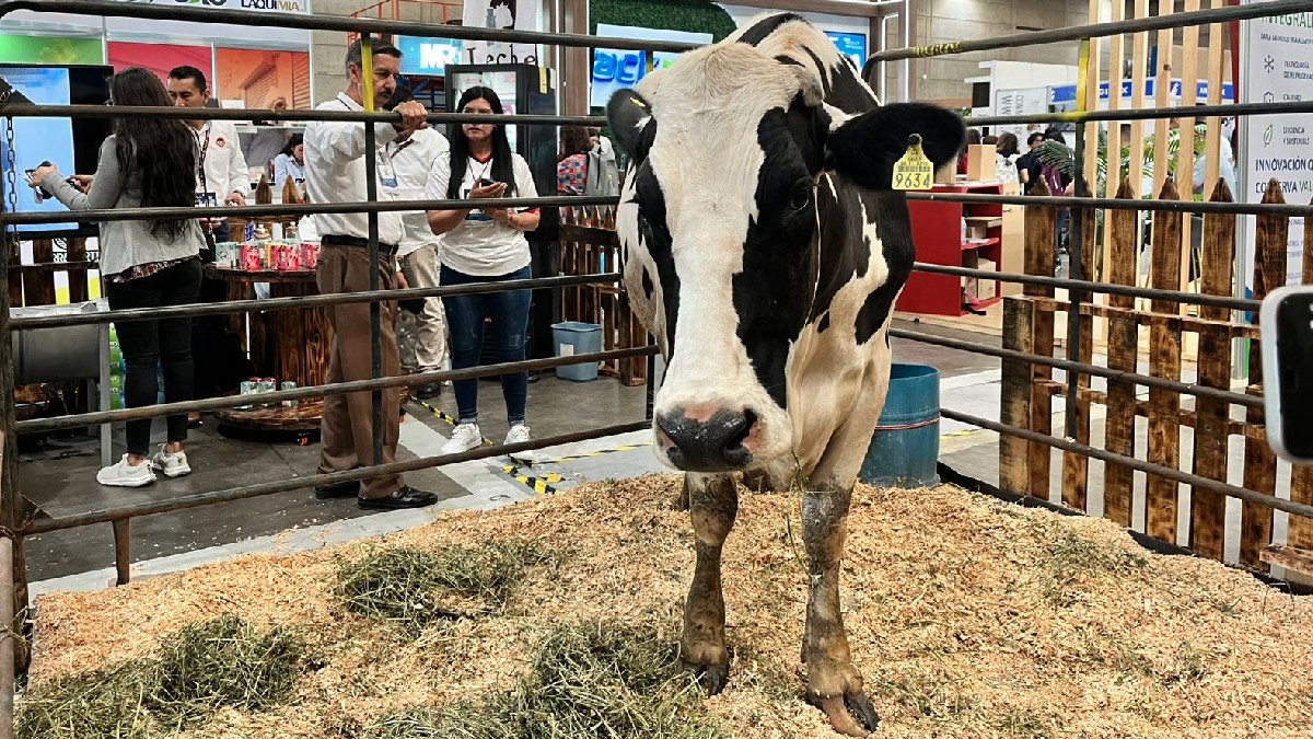 Leche Bienestar Guanajuato