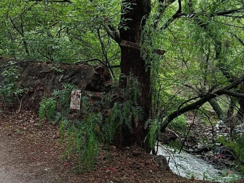 Denuncian mensajes de acoso sexual en el Camino Antiguo de Marfil en Guanajuato capital