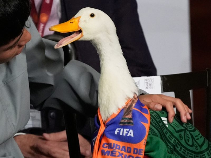 Niegan acceso a Merlín al Estadio Azteca para el partido de la Selección Mexicana 