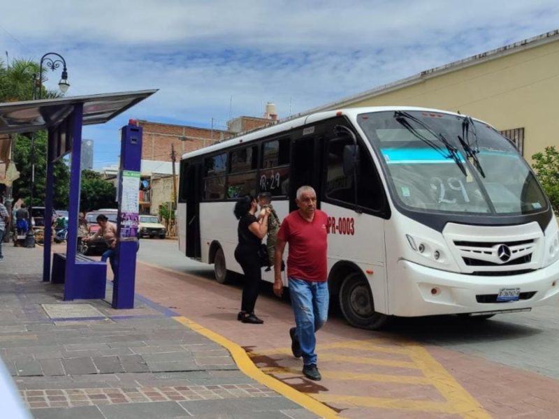 Movilidad en Purísima: Definirán en próxima sesión futuro de concesiones de la Ruta 29