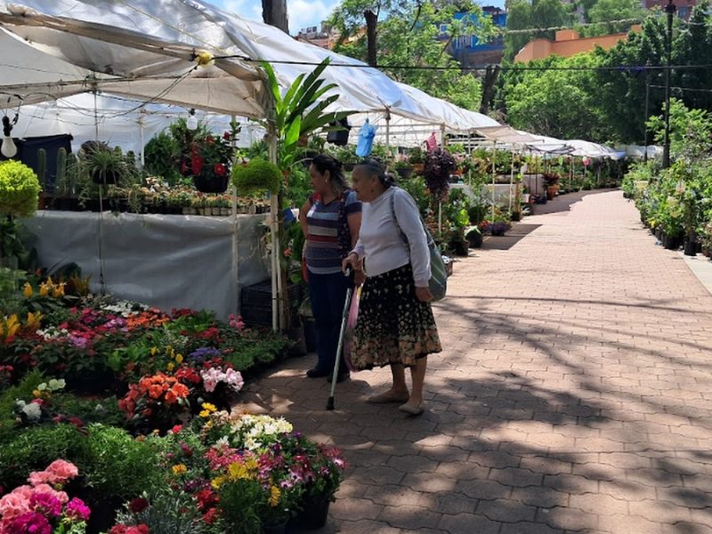 Dan permiso a 30 floricultores para fiestas de San Juan y presa la Olla en Guanajuato; no aclaran total para ambulantes