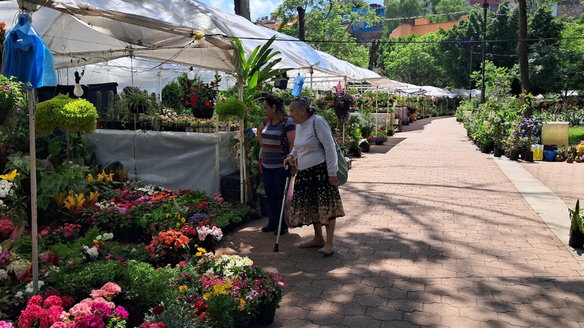 Permisos para vender flores en Gto 1