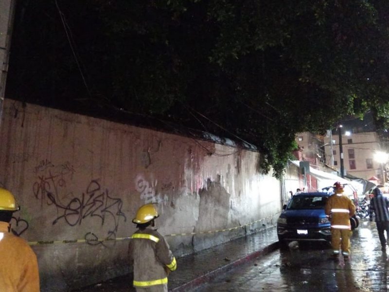 Tormenta en Guanajuato capital derriba ramas sobre locales comerciales; lluvias continuarán este domingo