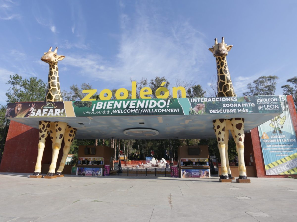 Cae 42% asistencia al Zoológico de León; piden subsidio extra de 10.5 mdp por crisis