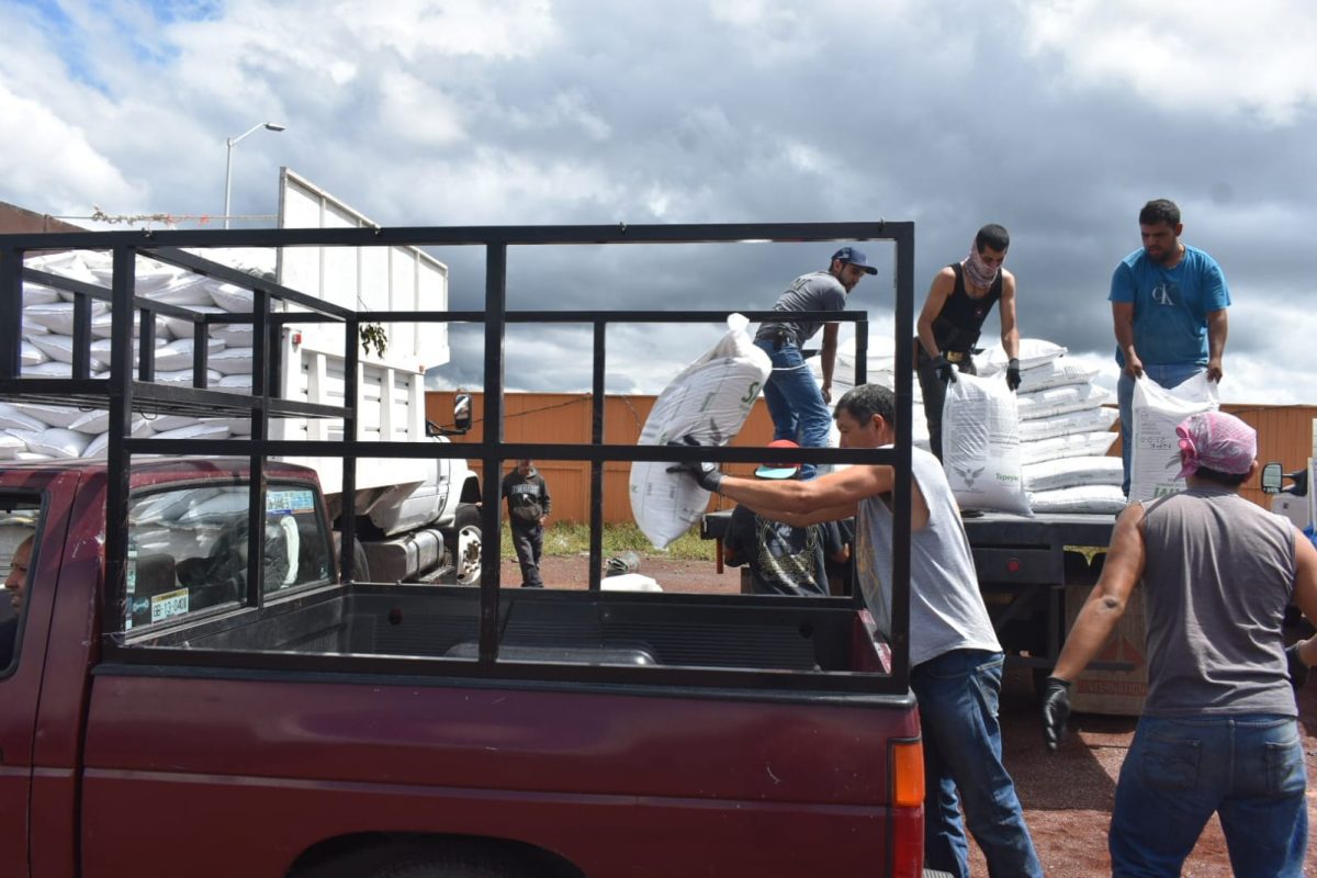 agricultores de Moroleón reciben fertilizante (3)