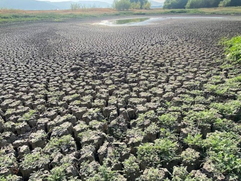 Estrés hídrico en Guanajuato: Pozos se están quedando sin agua y peligra producción de comida
