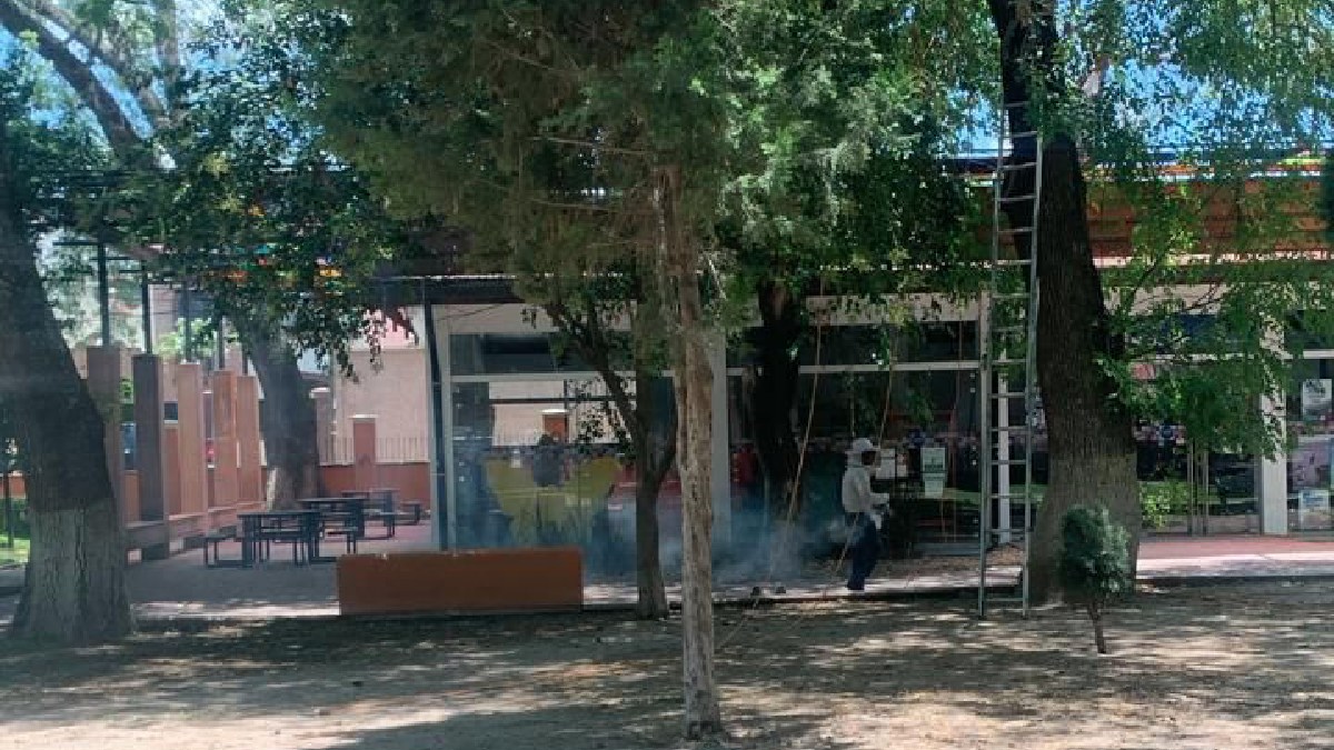 ataque de abejas en Dolores Hidalgo