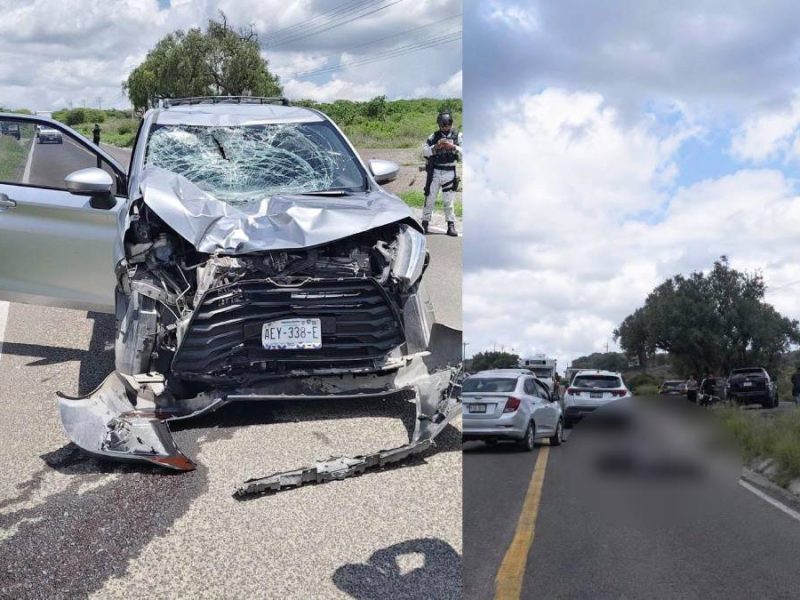 Accidente mortal en la Apaseo-Jerécuaro: Hombre muere al ser atropellado en la carretera