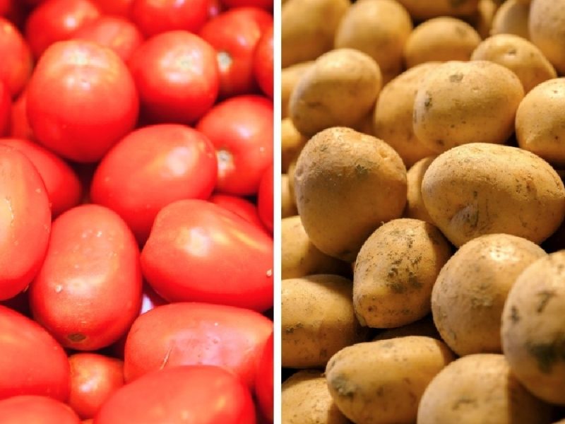 Disparan jitomate y papa costo de canasta alimentaria