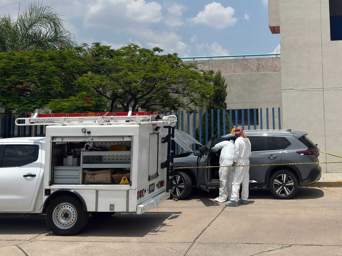 Terror en la Panamericana: Secuestran a familia y balean a padre e hijo al liberarlos
