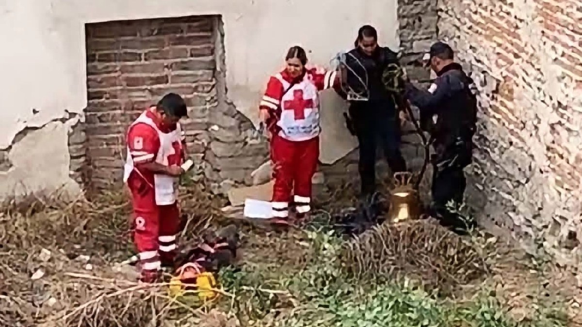 ladrón cae de campanario1