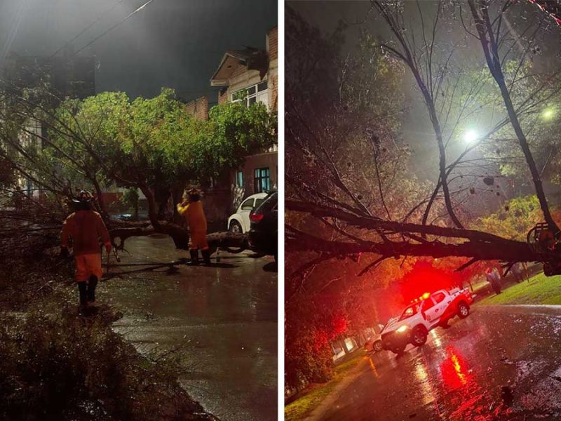 Caos en León: Intensa lluvia inunda bulevares, derriba árboles y llena el Malecón