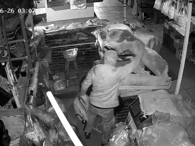 Saquean 28 locales del Mercado Barahona en Salamanca; acusan que velador se quedó encerrado