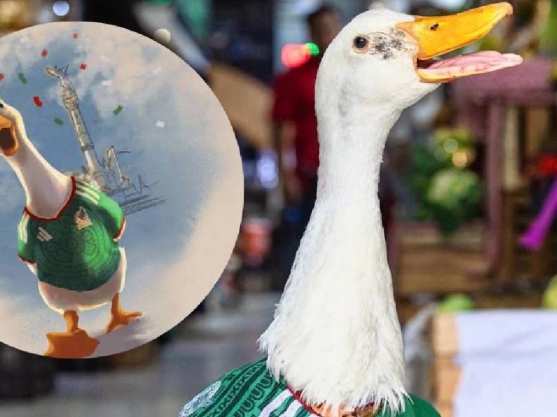 Pato Merlín el tierno aficionado vestido del Tri, se viraliza y enamora a locales y extranjeros en el Mundial 2026