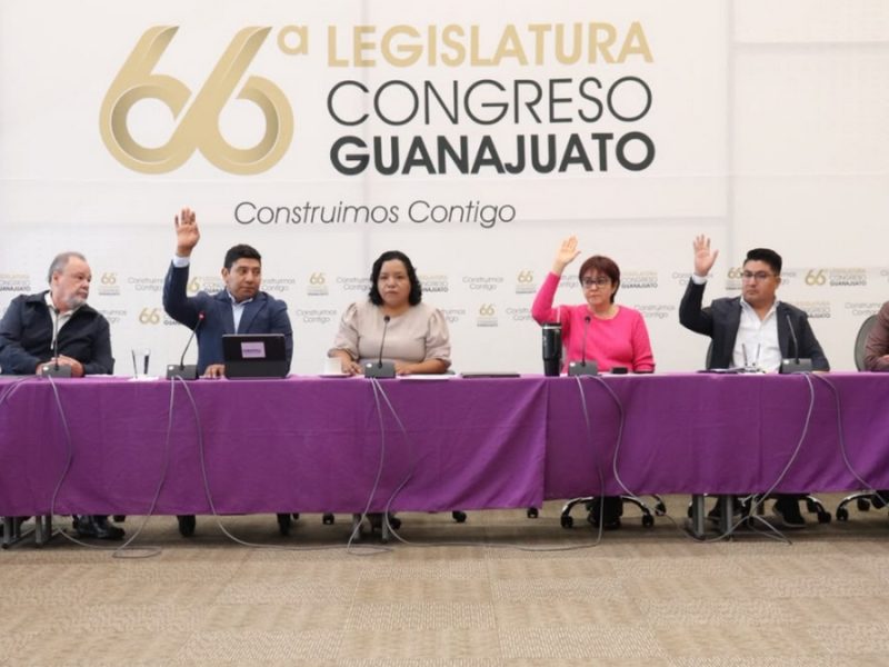 Aprueban dictamen en Congreso para exhortar a Libia garantice la pensión a personas con discapacidad