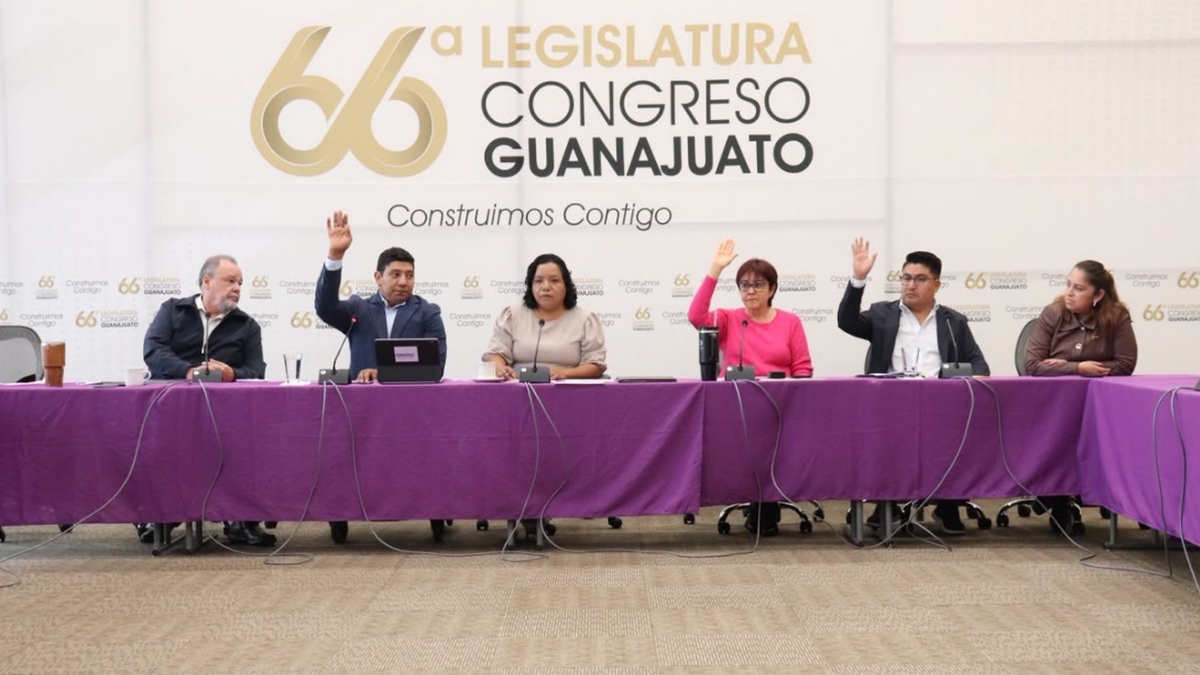 pensión para personas con discapacidad en Gto