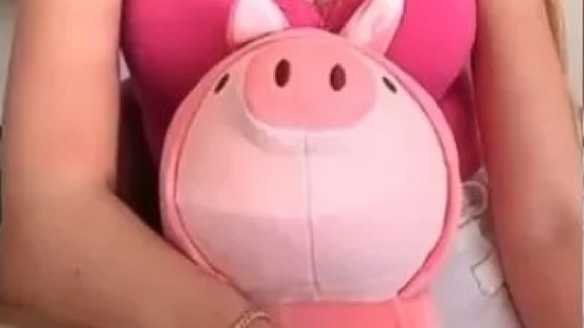 cerdo de peluche