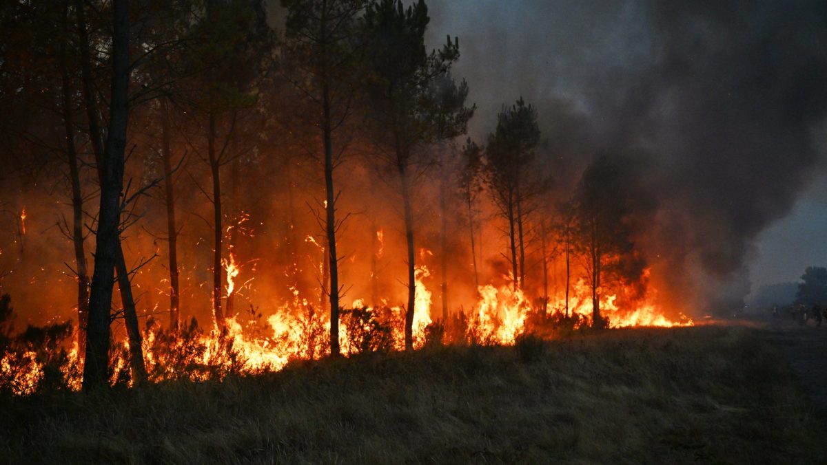 Incendios en Francia y España