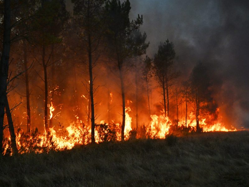 Incendios en Francia y España