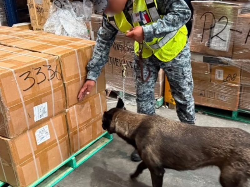 En tres días, autoridades aseguran 40 armas y 5 mil cartuchos en 13 estados del País