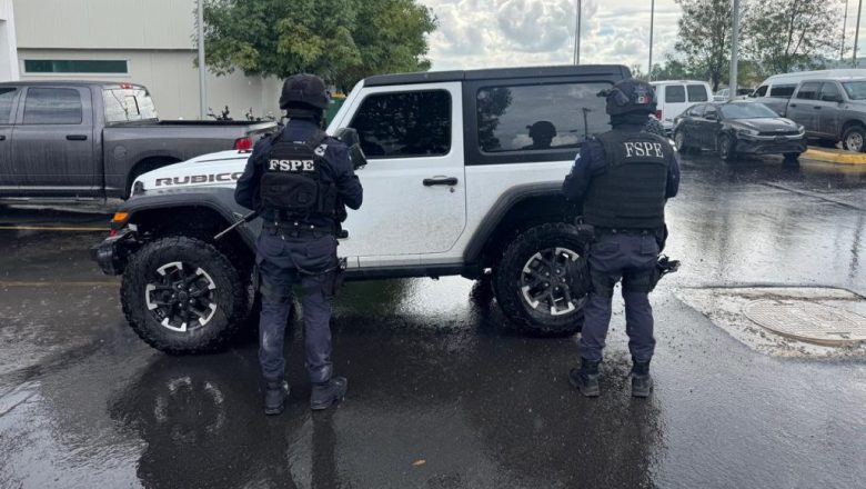 Detenidos en Irapuato y San Miguel de la Unión
