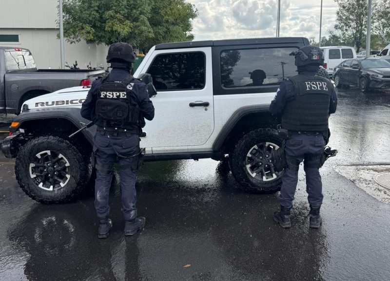Detenidos en Irapuato y San Miguel de la Unión