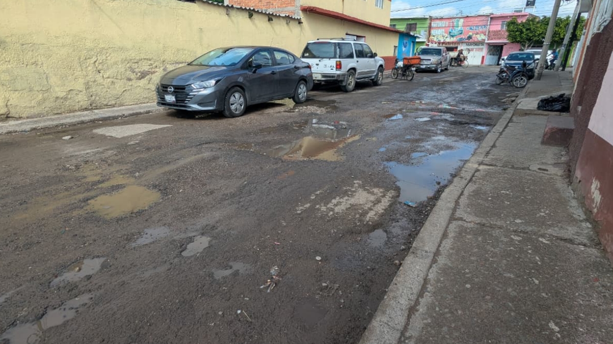 Baches Irapuato