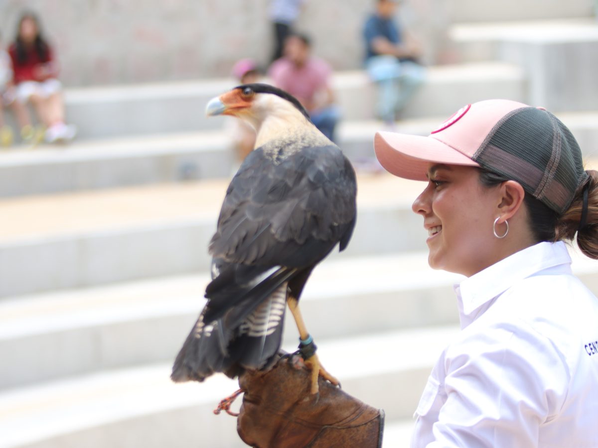 Llegan talleres a ZooLeón con aves rescatadas por Alas para la Educación