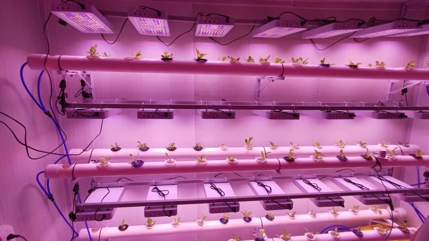 Guanajuato e Italia revolucionan el campo con Inteligencia Artificial