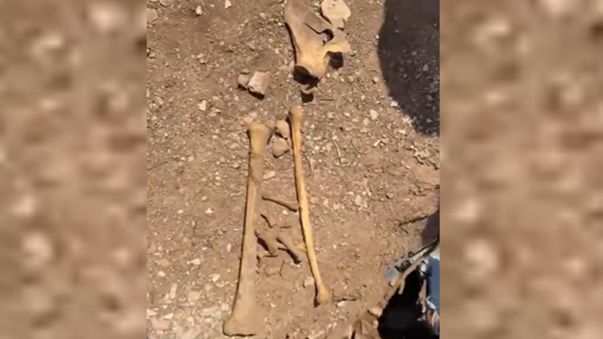 Ceci Flores fosa Sinaloa