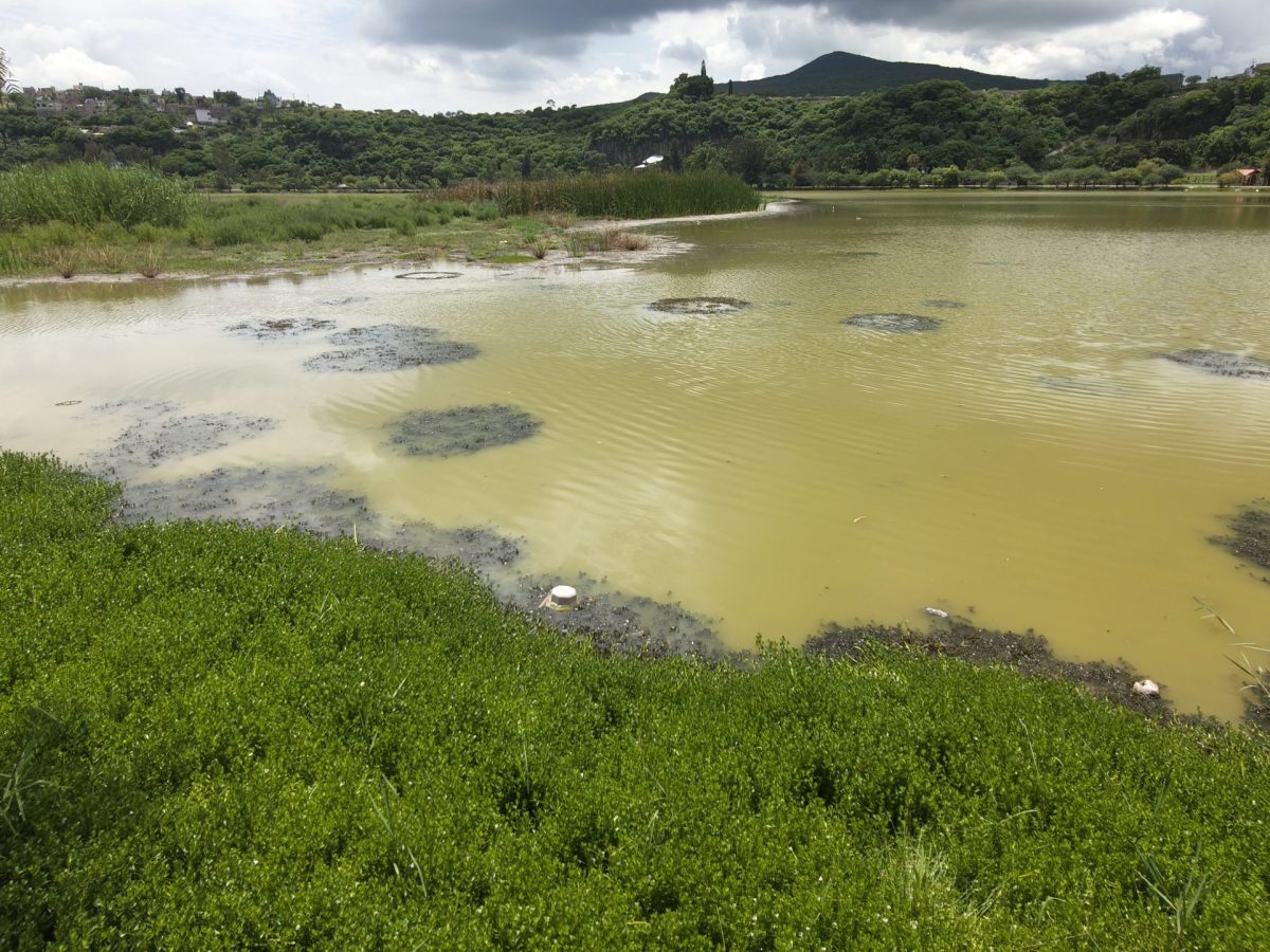 Sigue la crisis: Lago cráter de Yuriria no sube de nivel pese a las intensas lluvias