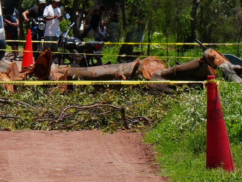 Llegan a cortar un árbol caído y terminan atacados a balazos en Santa Elena; hay dos muertos