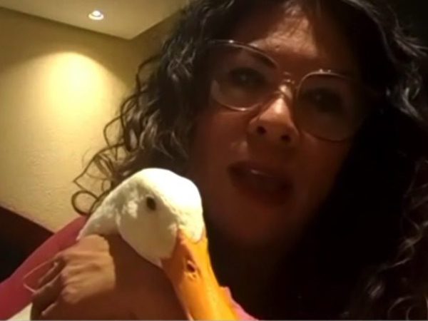 ¡Ya tienen casa! Entregan departamento a la familia del pato ‘Merlín’ en la CDMX