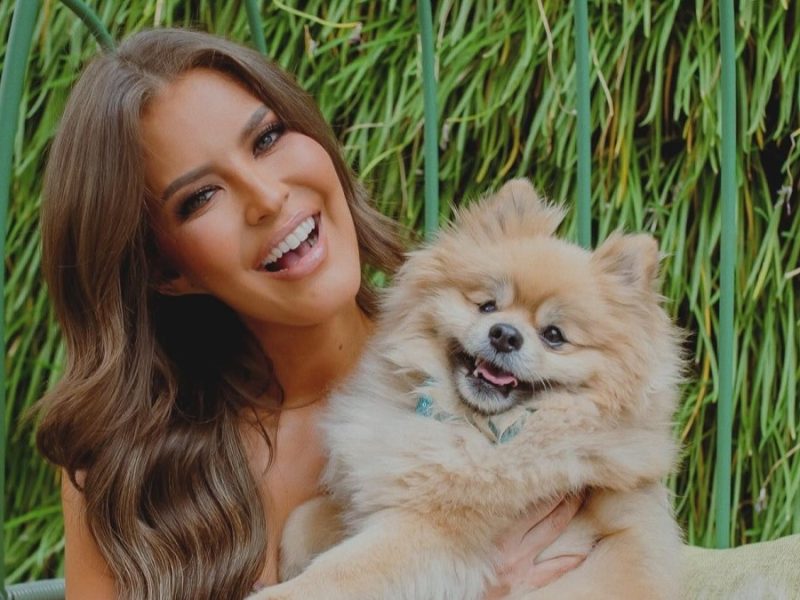 Día Mundial del Perro: Famosos celebran a sus mascotas y comparten emotivos mensajes