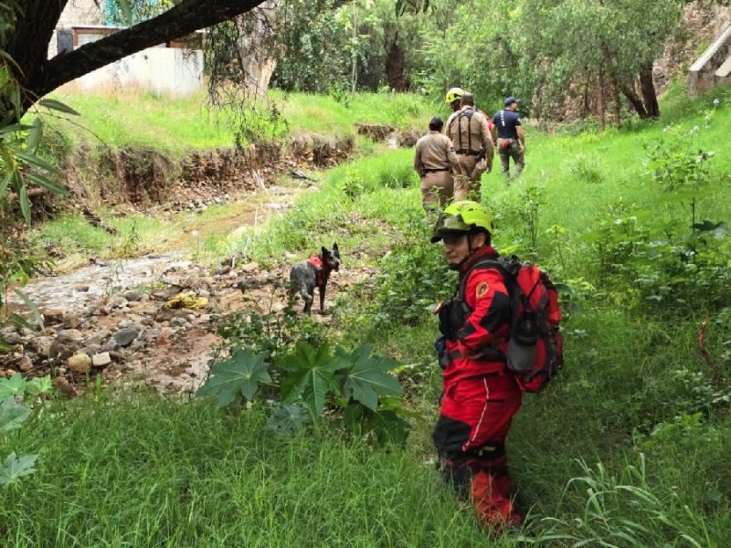 Hallan cuerpo en tiro de mina; investigan si es Félix Rocha “El Gallito”