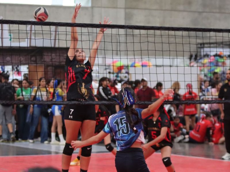 “Yo sería feliz quedándome aquí”. León arropa a los equipos del Festival Nacional de Voleibol y brilla nuevamente como sede