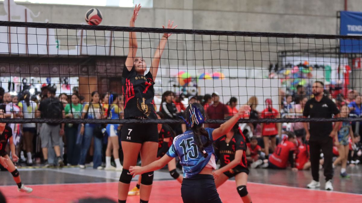 Festival de Voleibol León