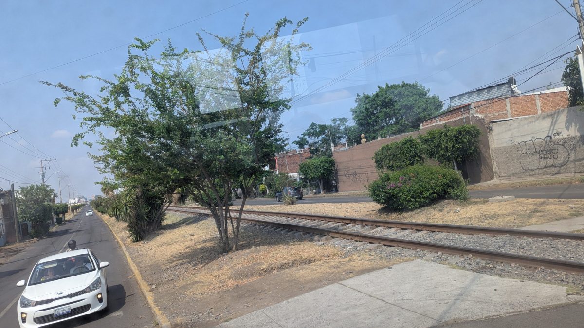 Avenida Paseo Irapuato
