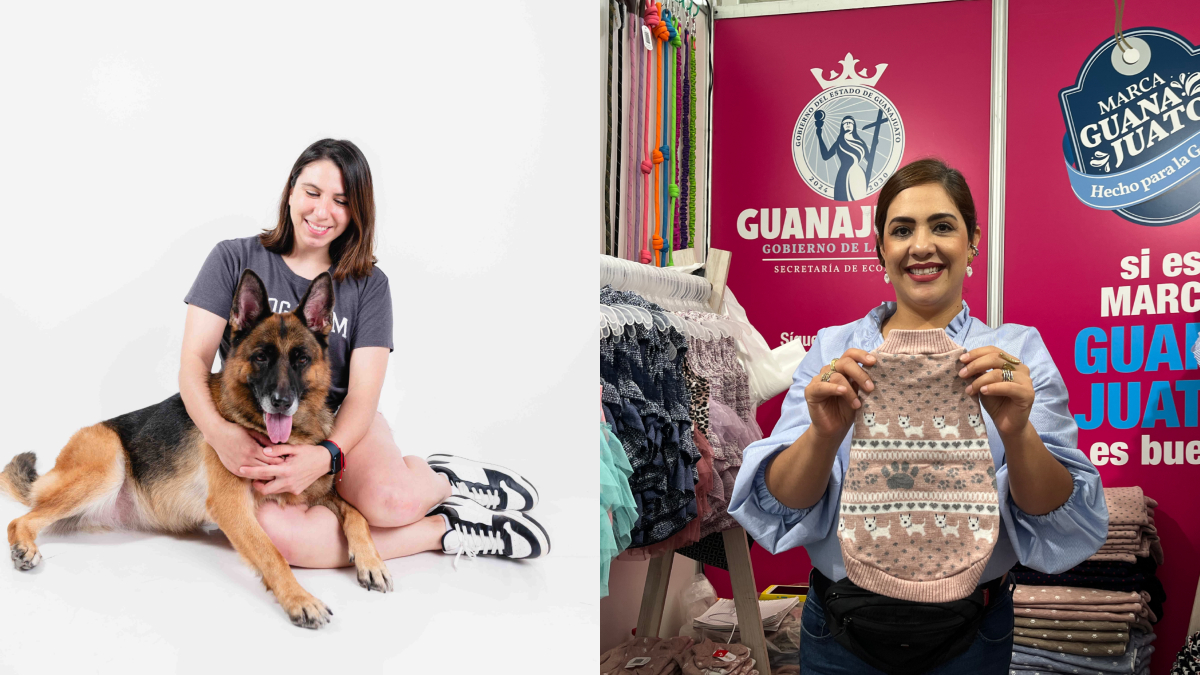 Mascotas en Guanajuato