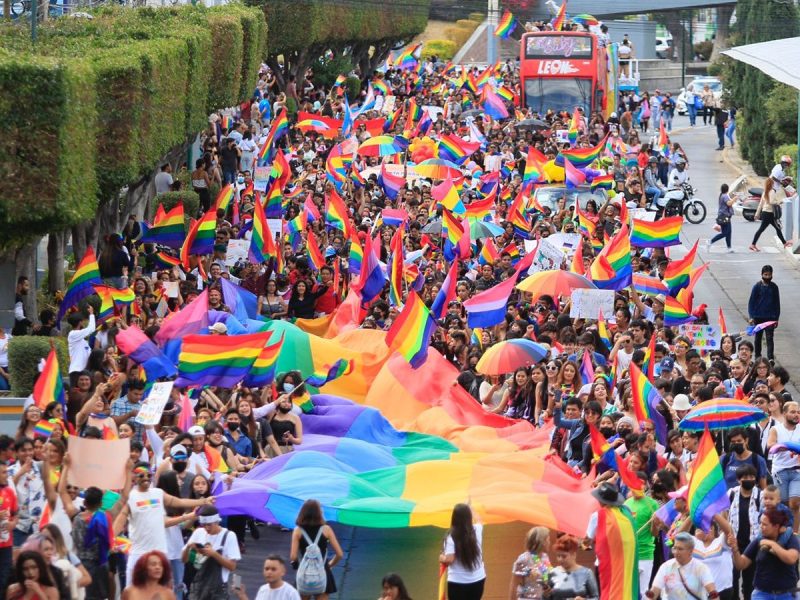 22 de 45 Municipios ignoran la Ley para las Personas de la Diversidad Sexual en Guanajuato